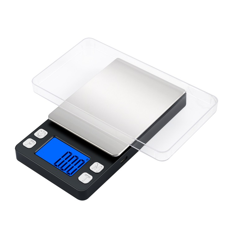 DH-8601 100g/200g/300g/500g*0.01g,1kg*0.1g jewelry scale